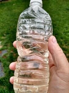 Puddle water.