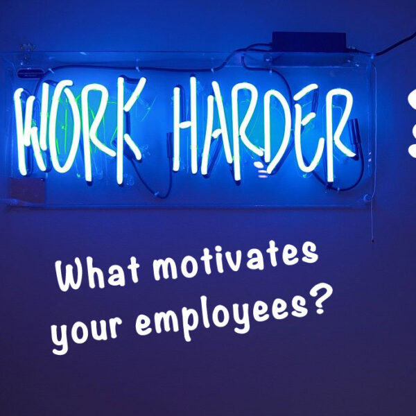 What Motivates Your Employees - Blog Header - Image by Pexels from Pixabay 