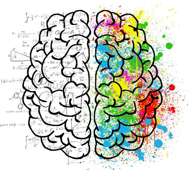 Brain - Soft Skills